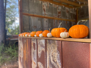 Pumpkin Mixed Bin-Wholesale PREORDER