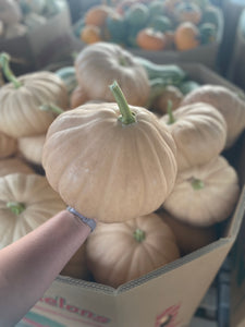 Pumpkin Wedding Bin-Wholesale PREORDER